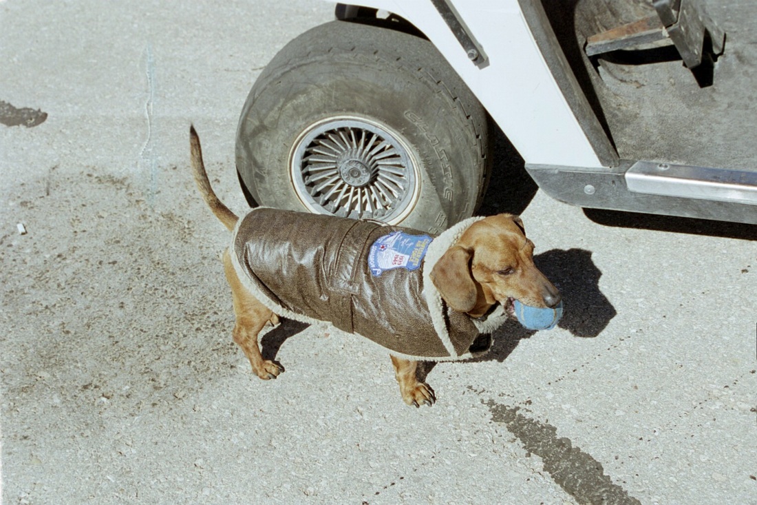 Amos Chasin Ball in bomber jacket